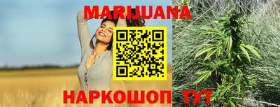 индика Славгород