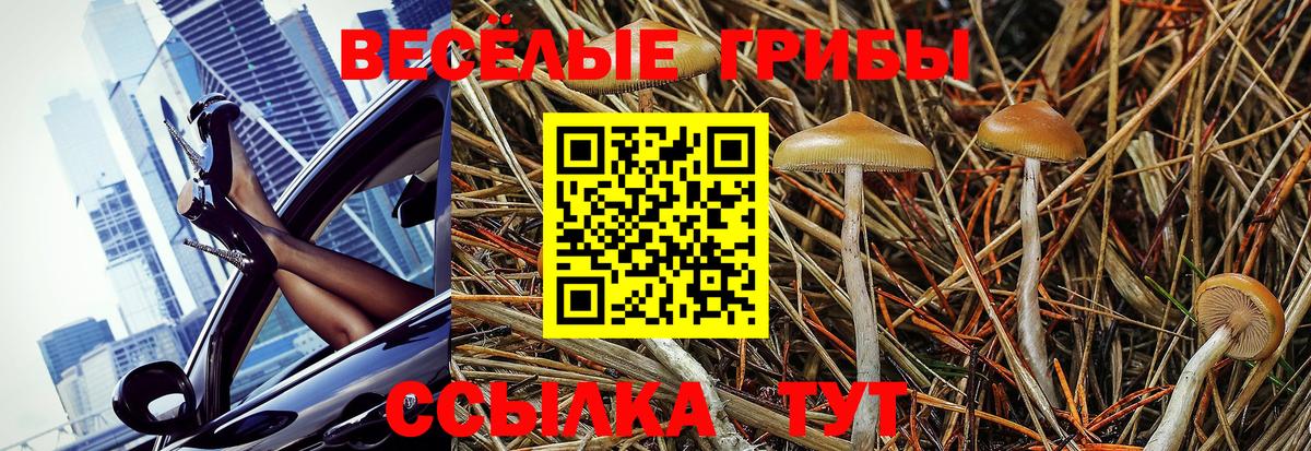 Псилоцибиновые грибы Cubensis  Вход с VPN  Острогожск 