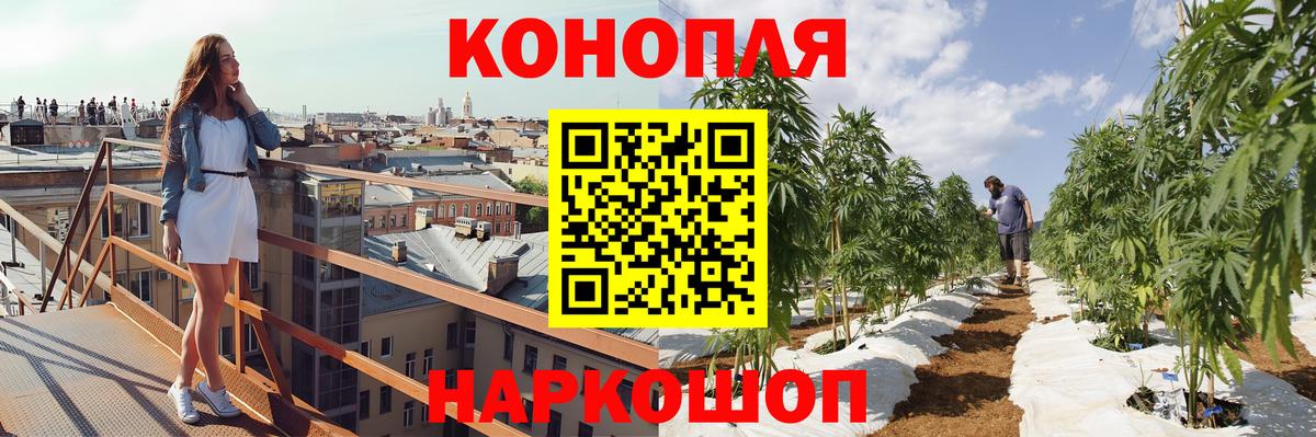 Бошки Шишки индика  Конопля гибрид  Вход с VPN  Острогожск 